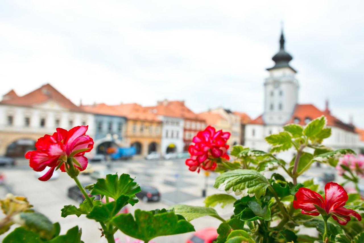 Hotel U Hada Zatec Zewnętrze zdjęcie